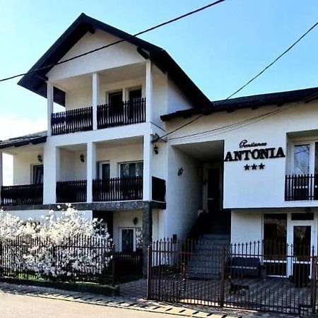 Pensiunea Antonia Vatra Dornei Exterior foto