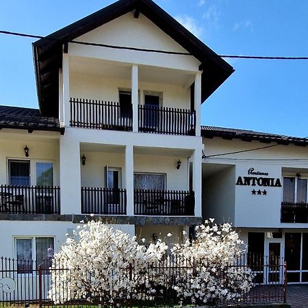 Pensiunea Antonia Vatra Dornei Exterior foto