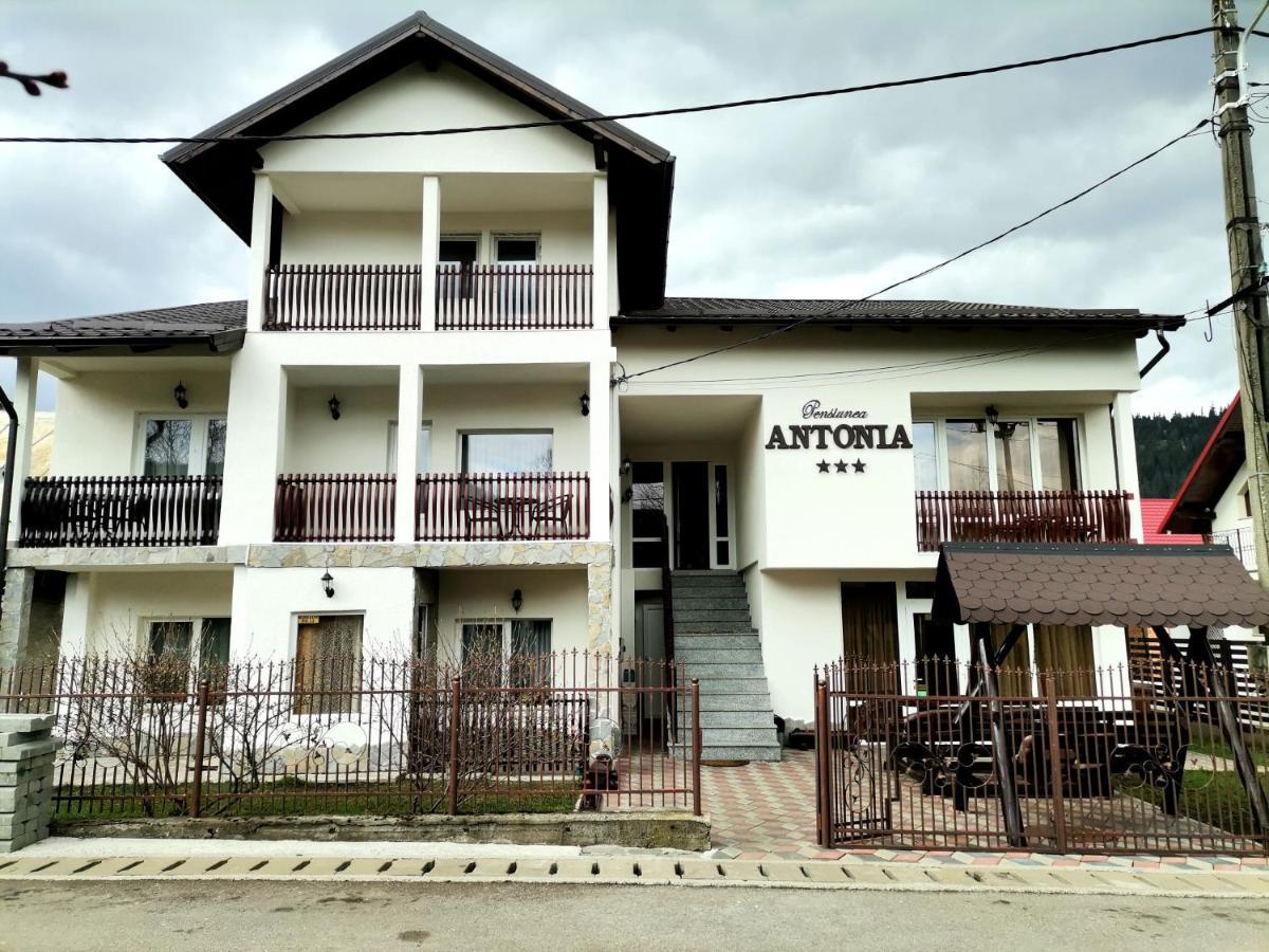 Pensiunea Antonia Vatra Dornei Exterior foto