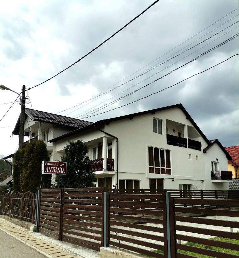 Pensiunea Antonia Vatra Dornei Exterior foto