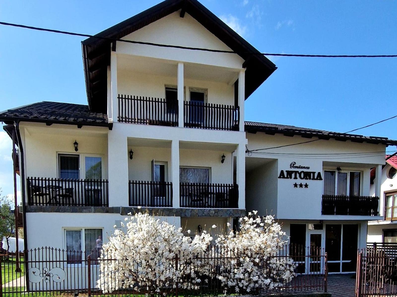 Pensiunea Antonia Vatra Dornei Exterior foto