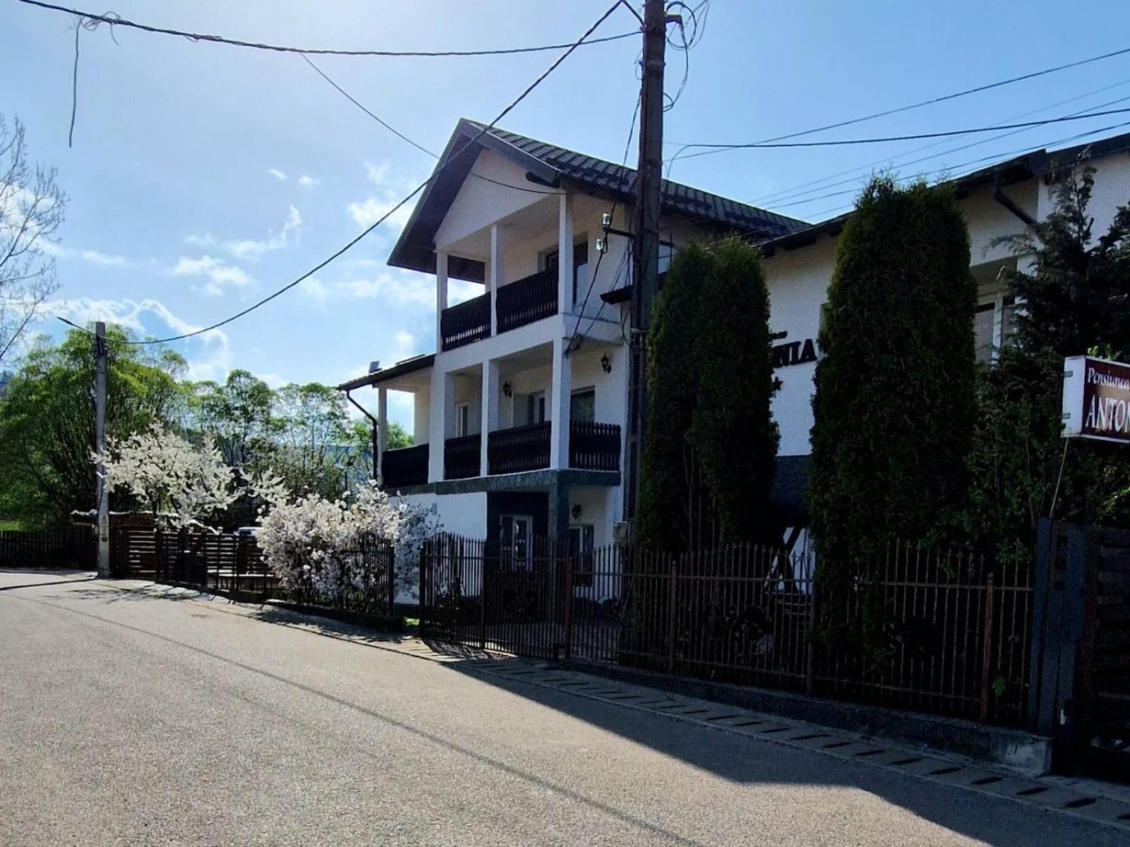 Pensiunea Antonia Vatra Dornei Exterior foto